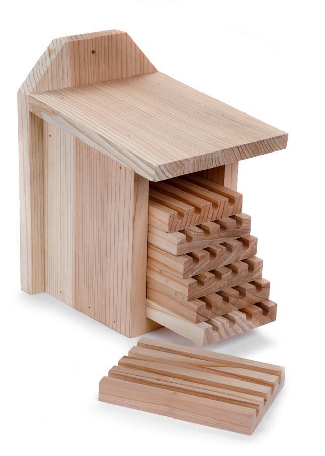 Ruche pour abeilles solitaires interactives avec plateaux coulissants