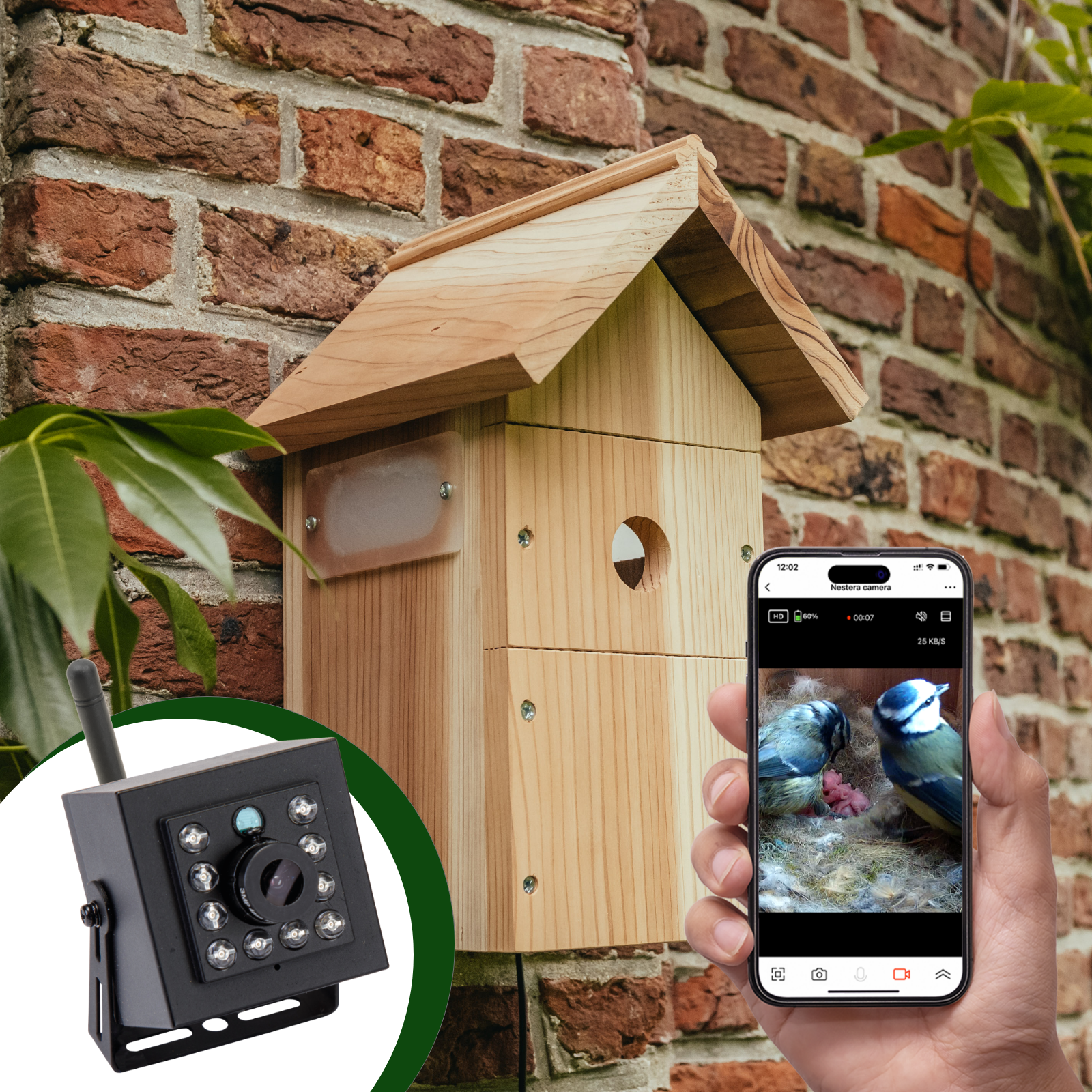 Caméra HD WiFi pour observer les oiseaux dans un nichoir - GFWF3 - Green  Feathers 