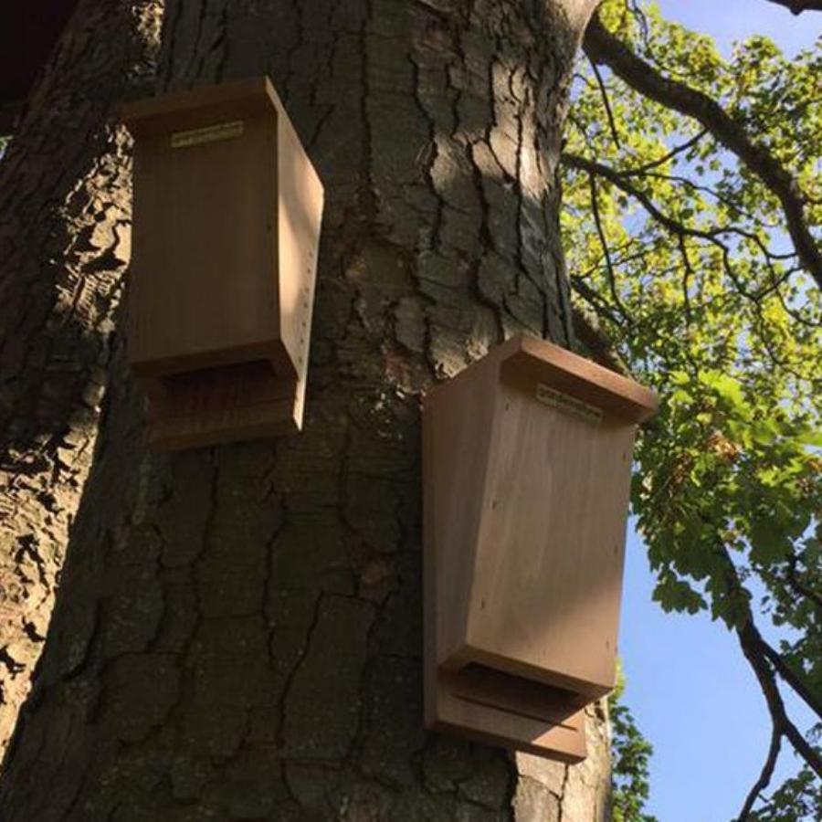 Nichoir et abri pour chauve souris