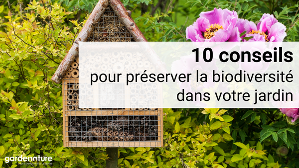 10 conseils pour favoriser la biodiversité dans votre jardin - Gardenature