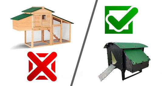Pourquoi investir dans un poulailler en plastique ? - Gardenature