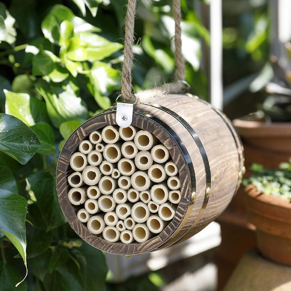 Ruche abeille solitaire forme tonneau