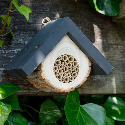 Ruche pour abeille solitaire design
