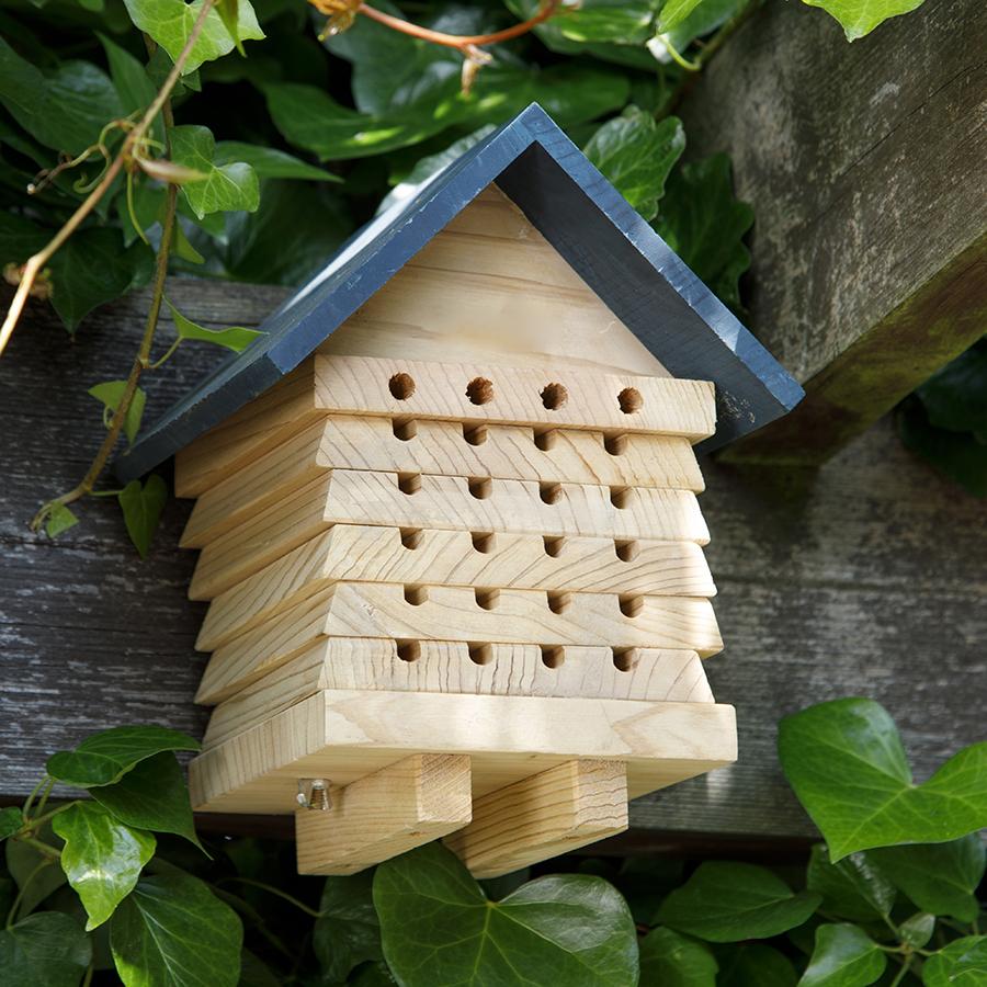 Ruche pour abeille solitaire interactive - plateaux empilables