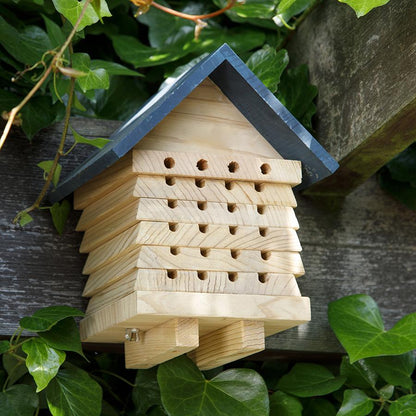 Ruche pour abeille solitaire interactive - plateaux empilables