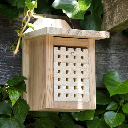 Ruche pour abeilles solitaires interactives avec plateaux coulissants