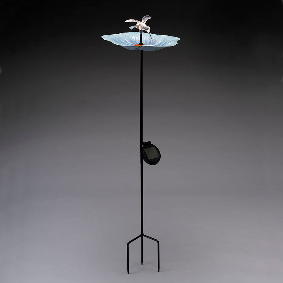 bain d'oiseau avec lumière LED