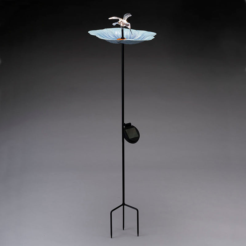 bain d'oiseau avec lumière LED