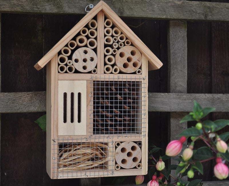 Hôtel à insectes en cèdre FSC