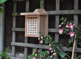 Ruche pour abeilles solitaires interactives avec plateaux coulissants