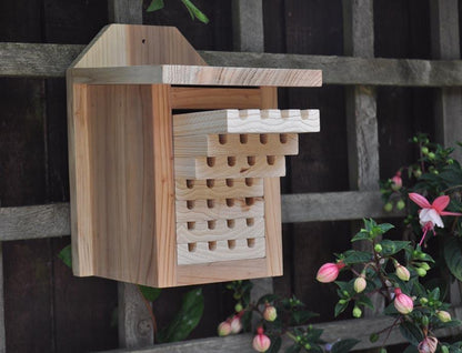 Ruche pour abeilles solitaires interactives avec plateaux coulissants
