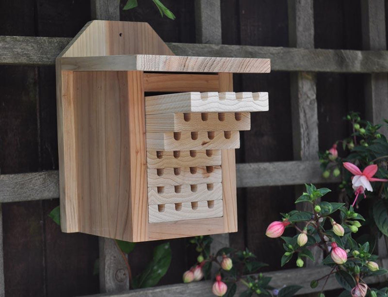 Ruche pour abeilles solitaires interactives avec plateaux coulissants