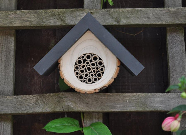 Ruche pour abeille solitaire design