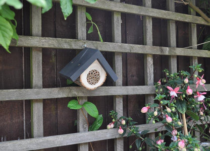 Ruche pour abeille solitaire design