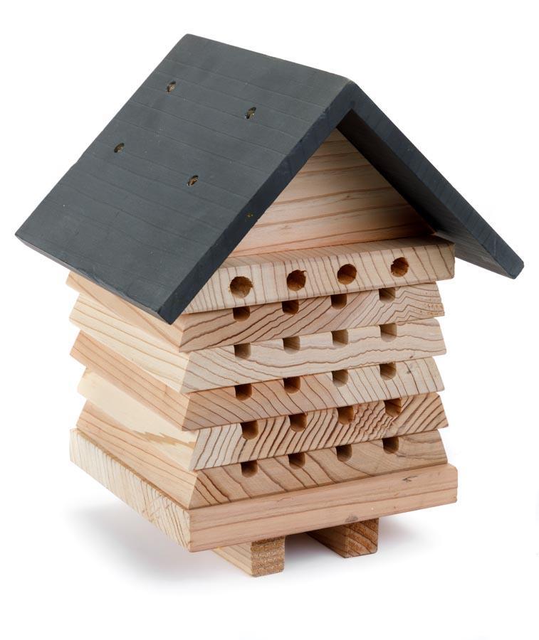 Ruche pour abeille solitaire interactive - plateaux empilables