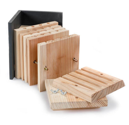 Ruche pour abeille solitaire interactive - plateaux empilables