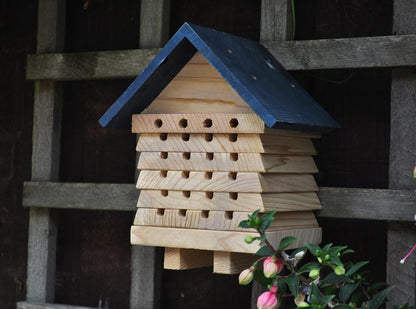 Ruche pour abeille solitaire interactive - plateaux empilables