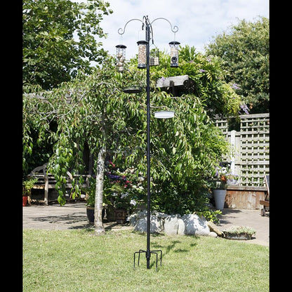 Station de nourrissage pour oiseaux 6-en-1