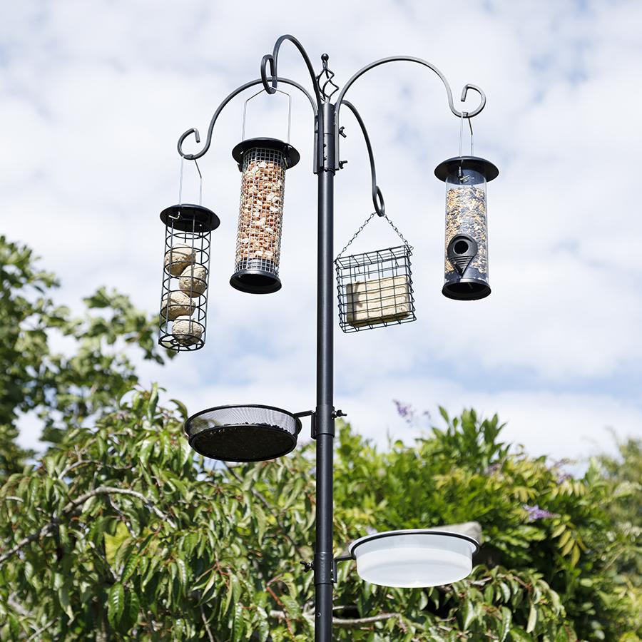 Station de nourrissage pour oiseaux 6-en-1