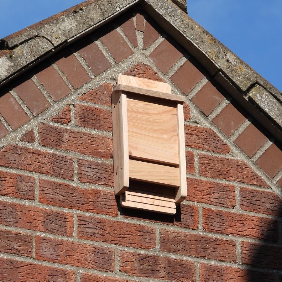 Nichoir et abris en bois pour Chauves-Souris - Esschert Design Nichoir et abris en bois pour Chauves-Souris - Esschert Design