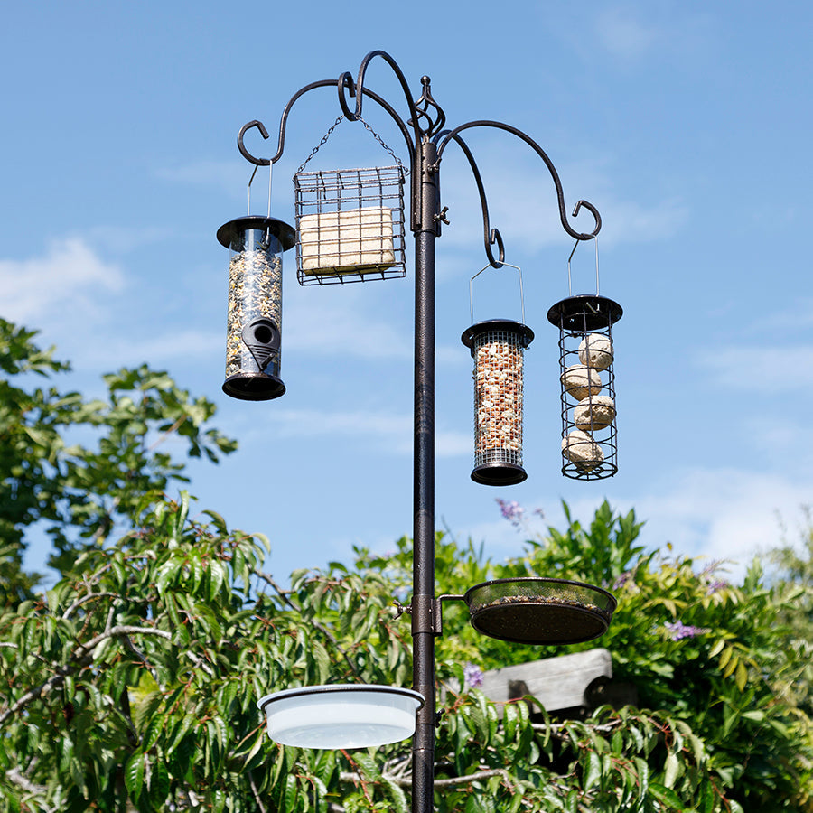 Station de nourrissage pour oiseaux 6-en-1