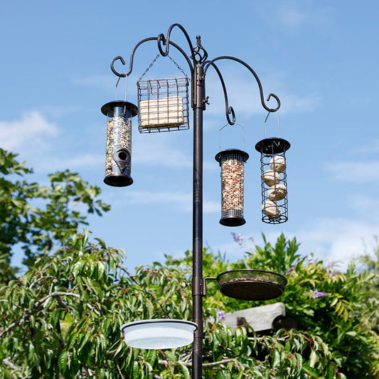 Station de nourrissage pour oiseaux 6-en-1