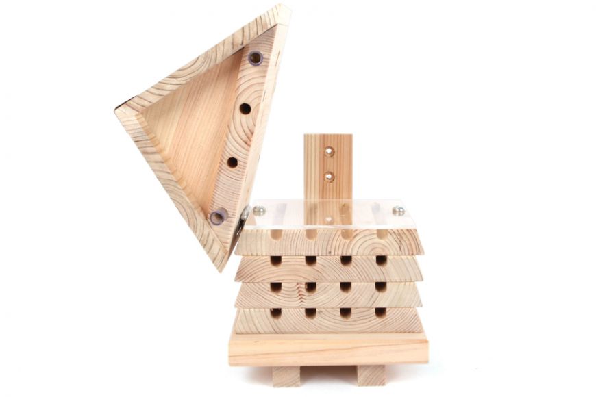 Ruche interactive pour abeilles solitaires en bois FSC