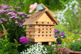Ruche interactive pour abeilles solitaires en bois FSC