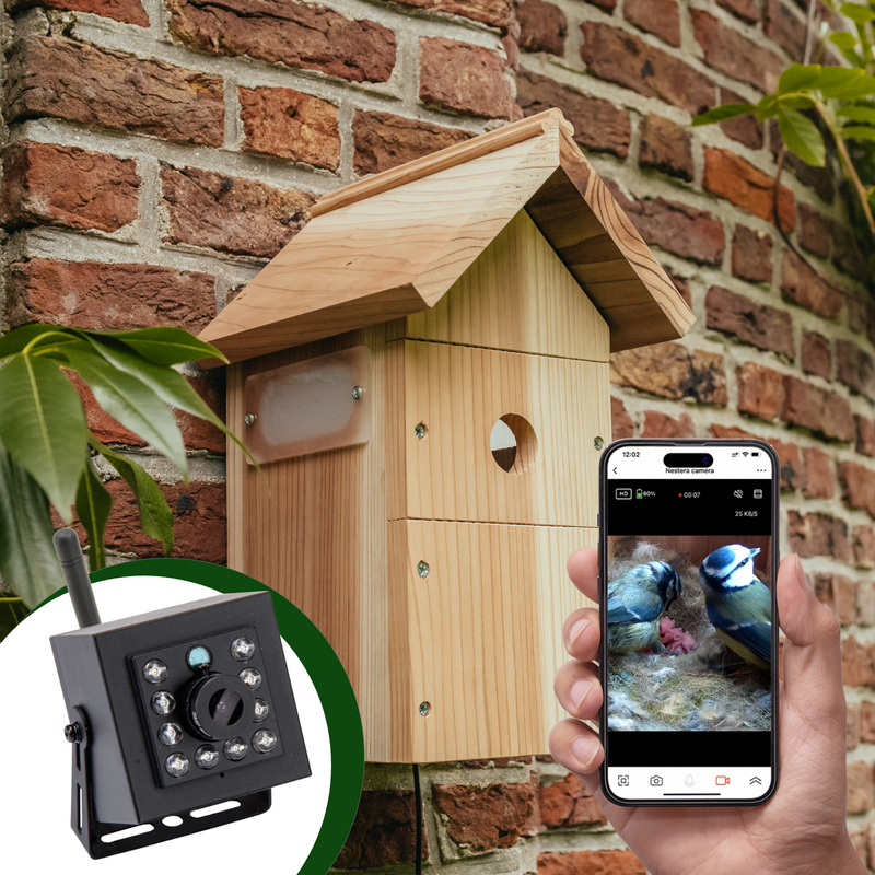 Bird Buddy : une CABANE à oiseaux CONNECTÉE ! 