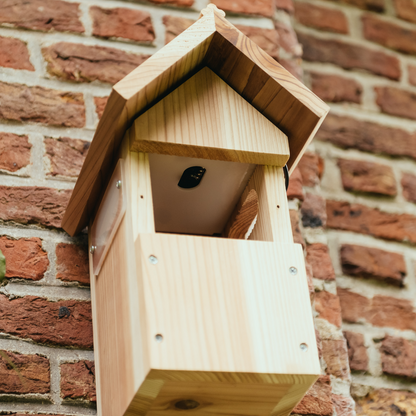 Nichoir à oiseaux avec caméra WiFi