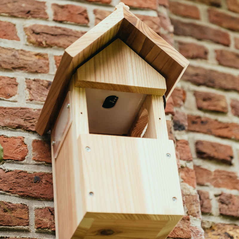 Nichoir à oiseaux avec caméra WiFi – Gardenature