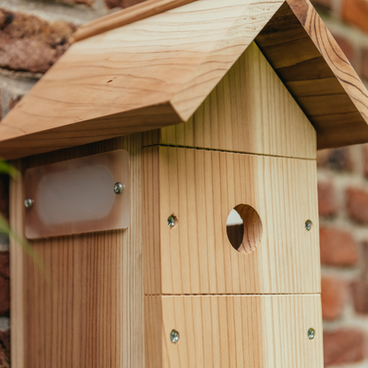 Nichoir à oiseaux avec caméra WiFi