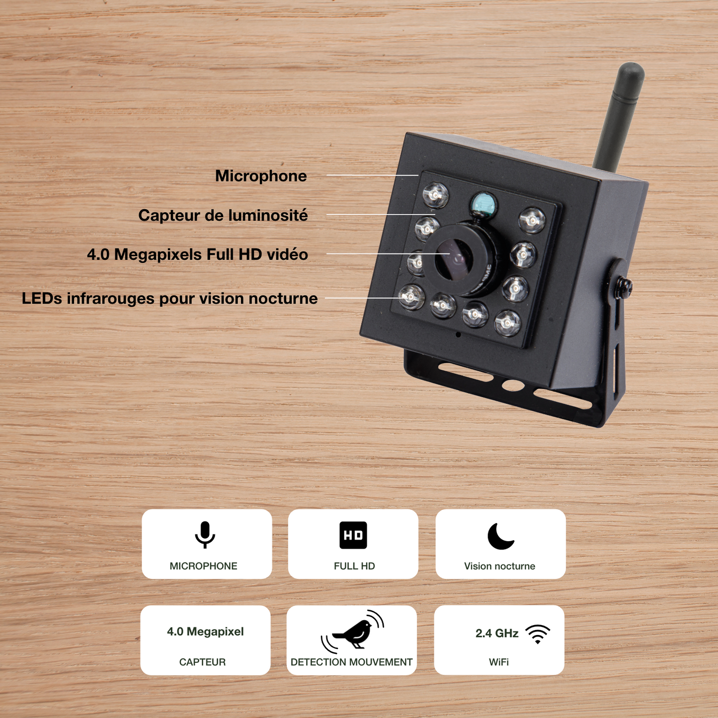 Nichoir à oiseaux avec caméra WiFi