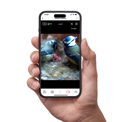 Nichoir à oiseaux avec caméra WiFi